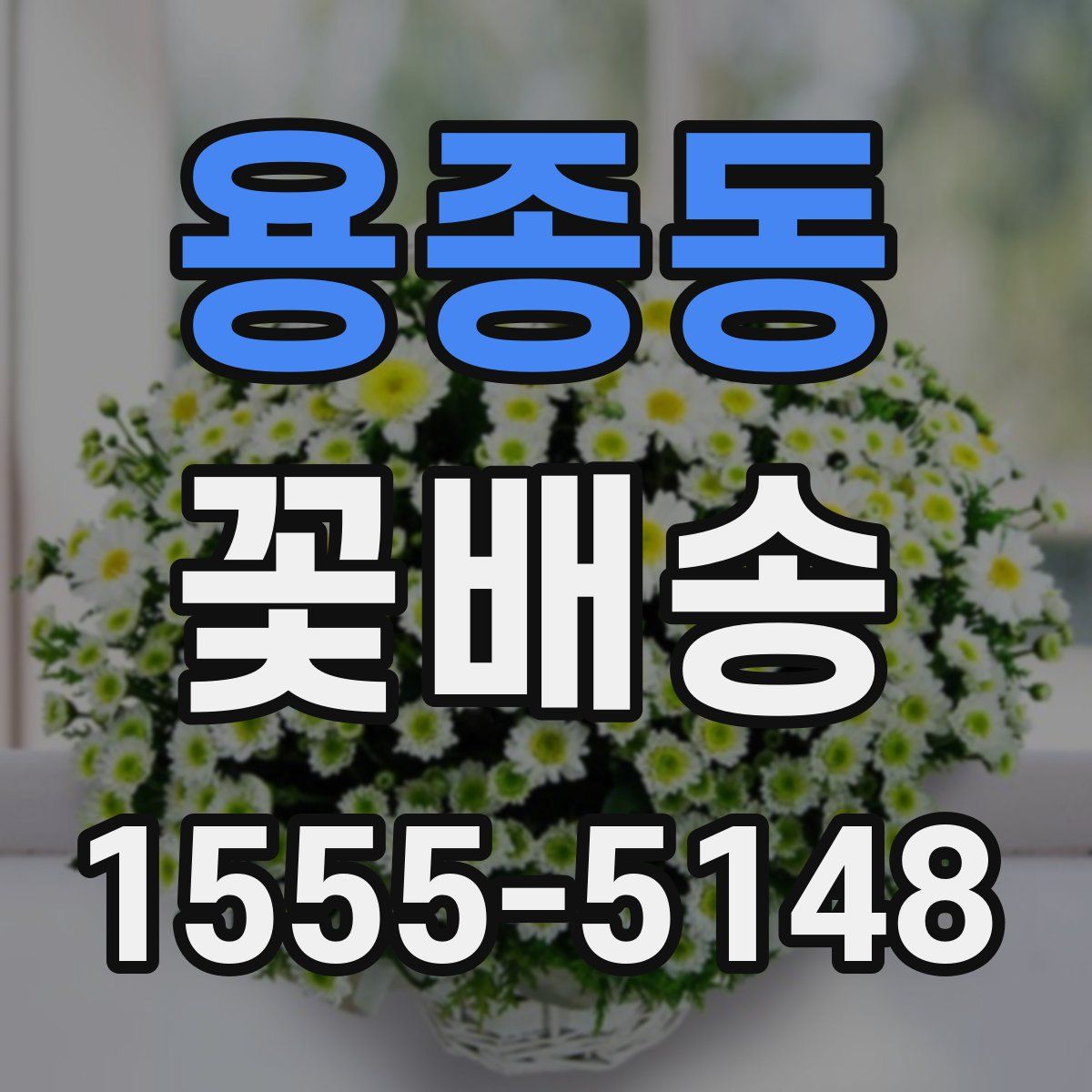 용종동 꽃배송
