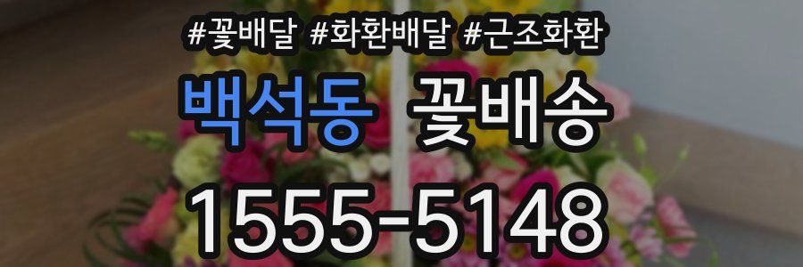 백석동 꽃배송