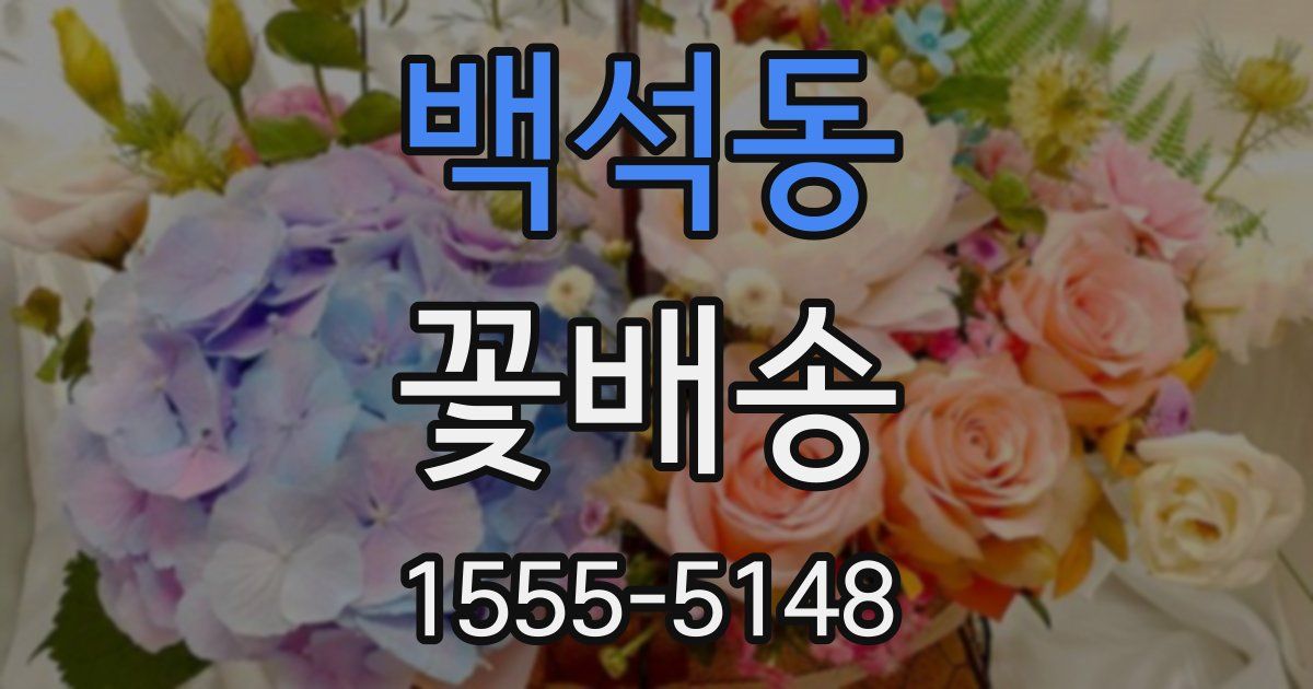 백석동 꽃배송