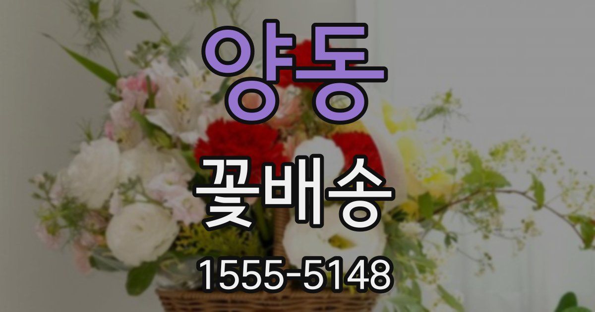 양동 꽃배송