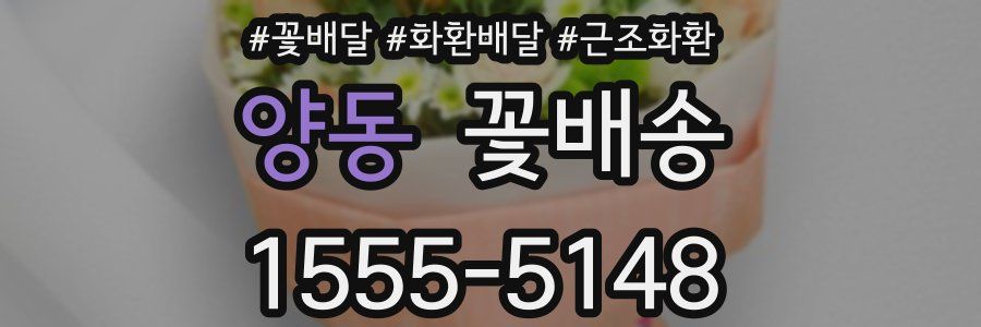 양동 꽃배송
