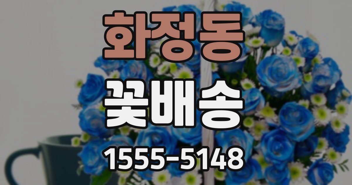 화정동 꽃배송