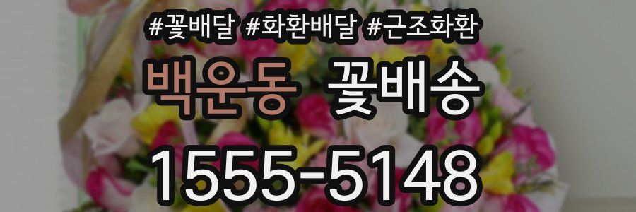 백운동 꽃배송