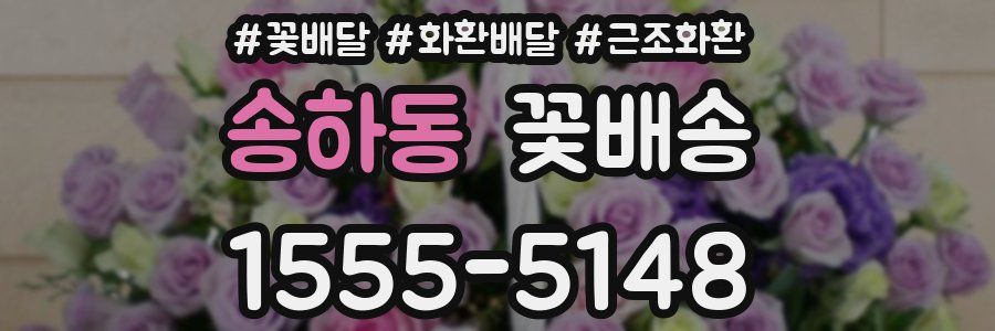 송하동 꽃배송