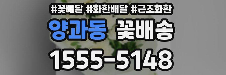 양과동 꽃배송