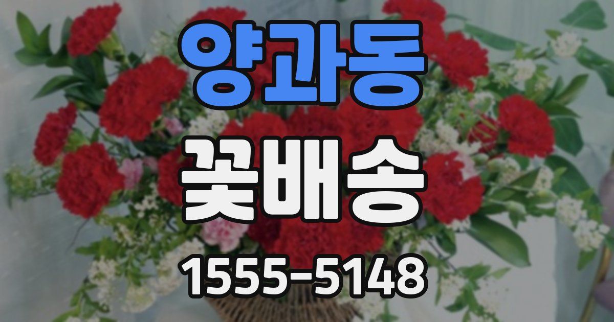 양과동 꽃배송