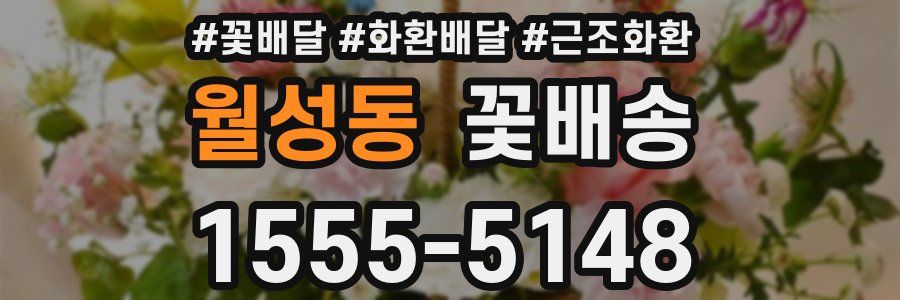 월성동 꽃배송