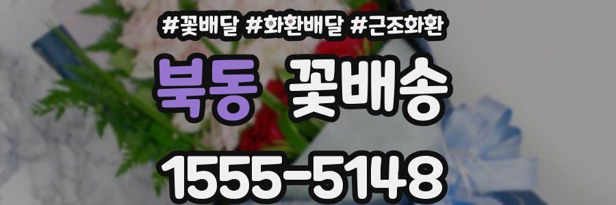 북동 꽃배송