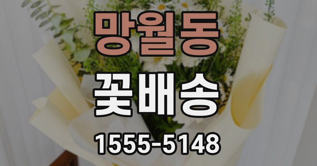 망월동 꽃배송