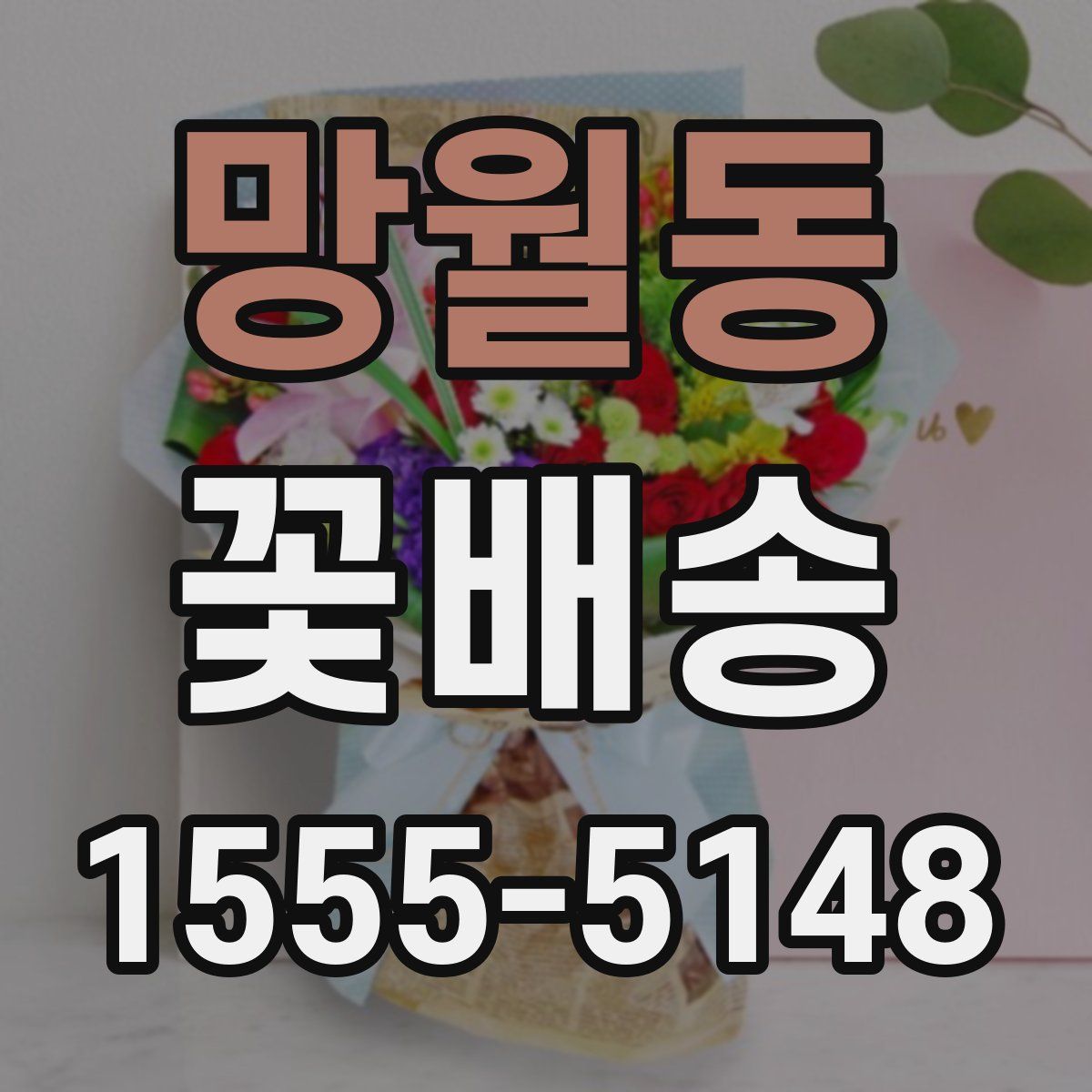 망월동 꽃배송