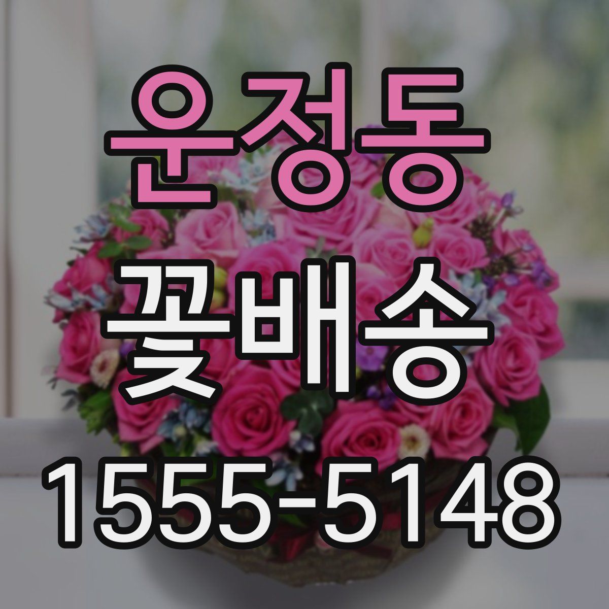 운정동 꽃배송