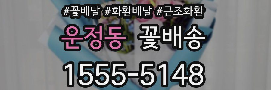 운정동 꽃배송
