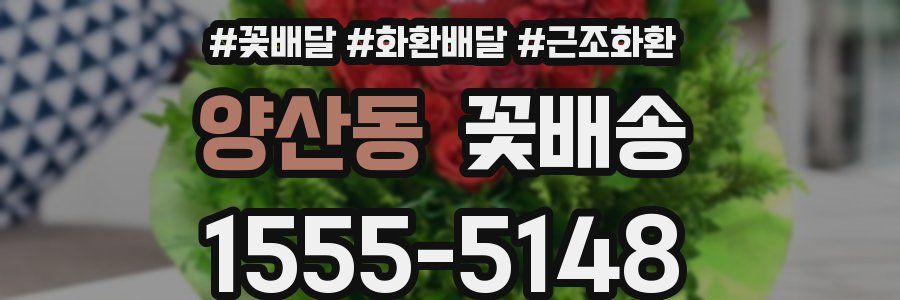 양산동 꽃배송