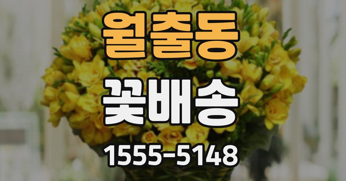 월출동 꽃배송