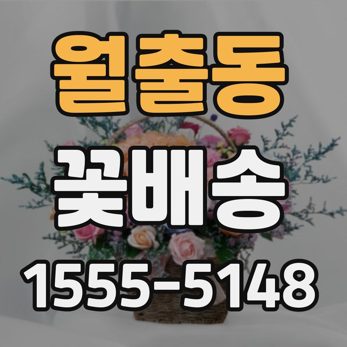 월출동 꽃배송