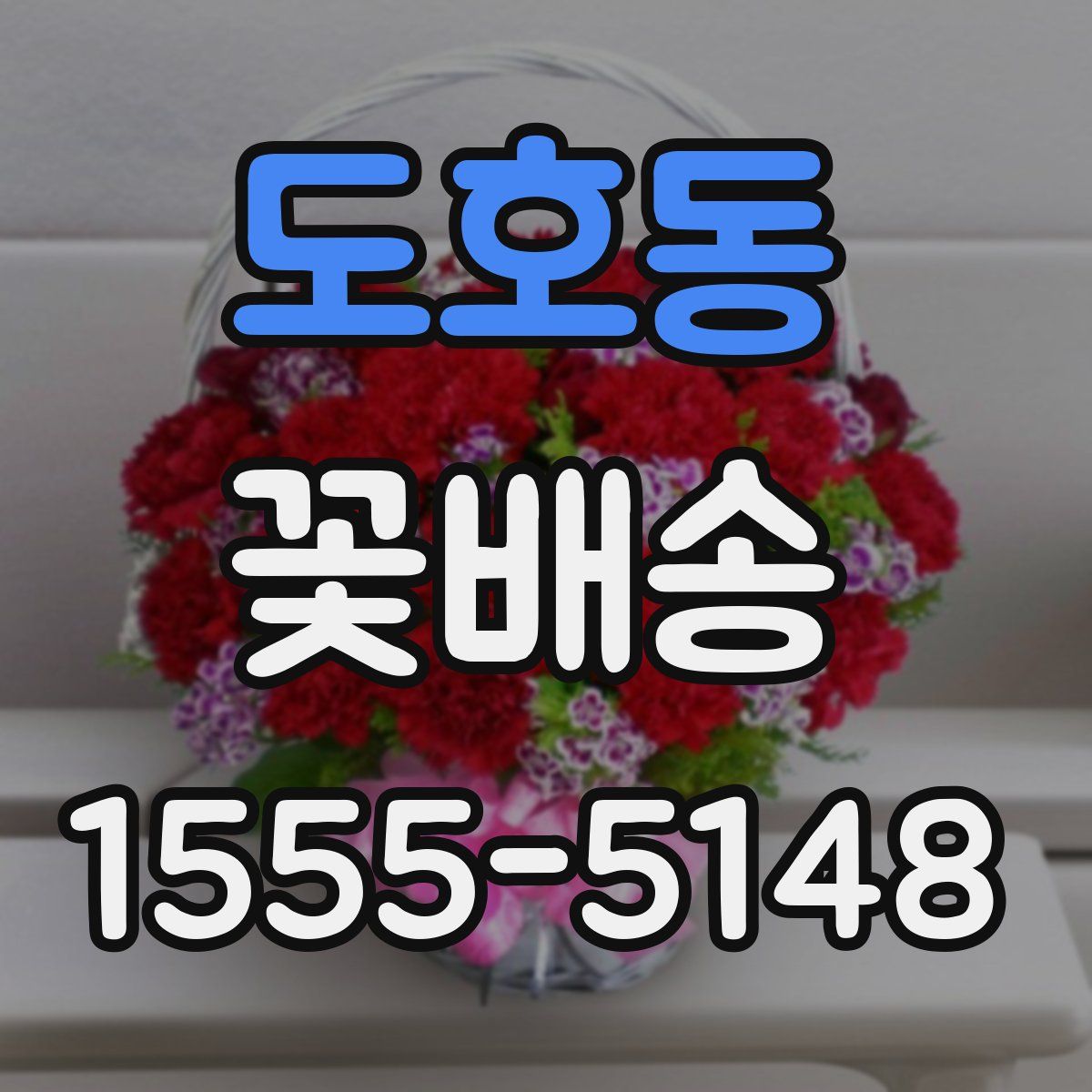 도호동 꽃배송