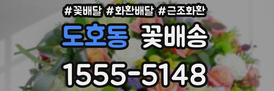 도호동 꽃배송