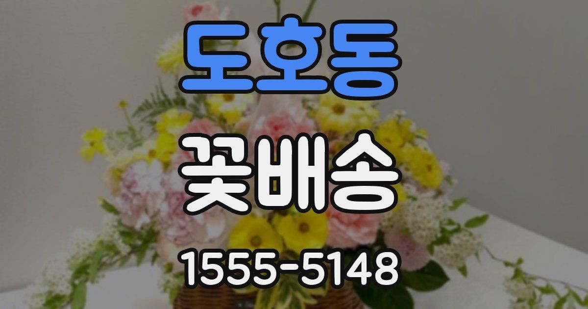 도호동 꽃배송