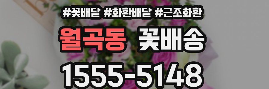 월곡동 꽃배송