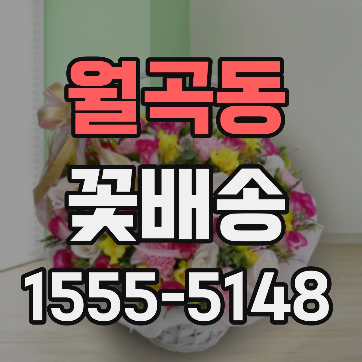 월곡동 꽃배송