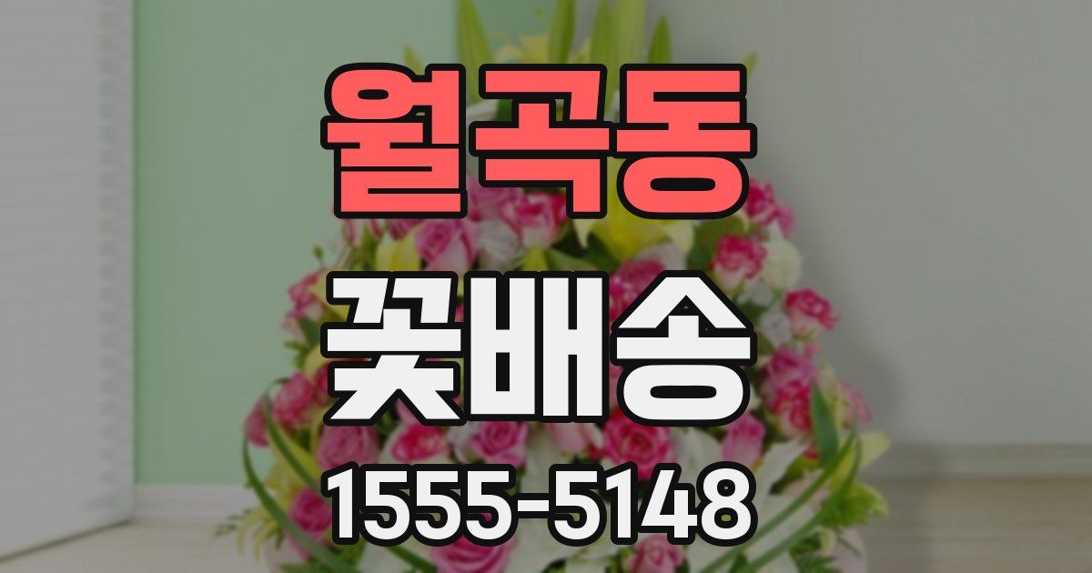 월곡동 꽃배송