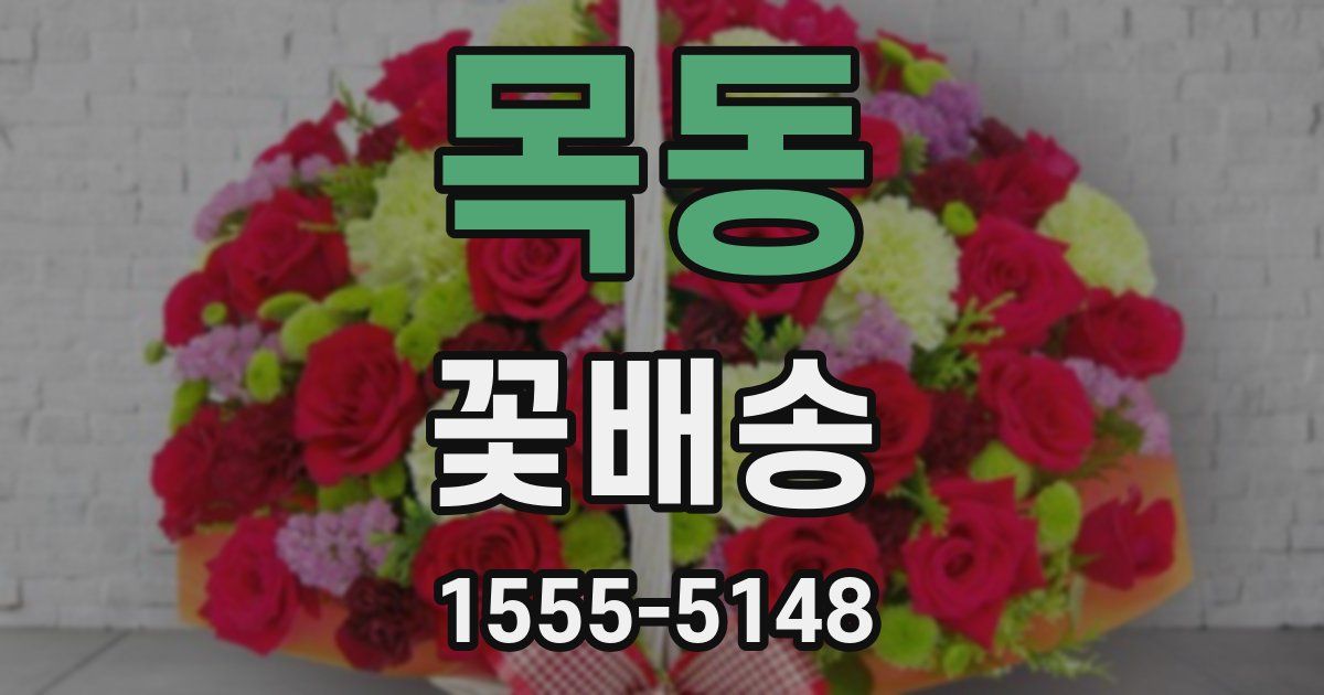 목동 꽃배송