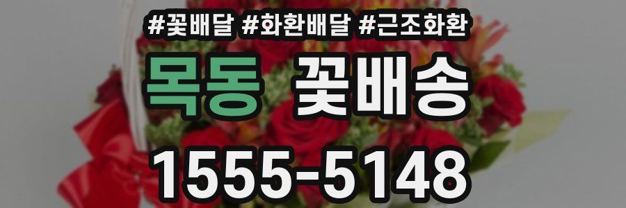 목동 꽃배송