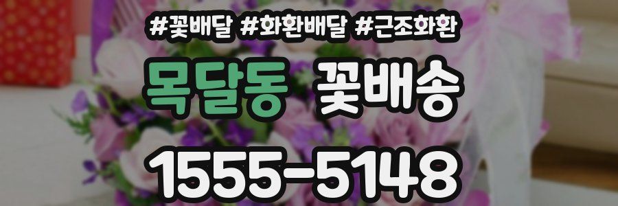 목달동 꽃배송