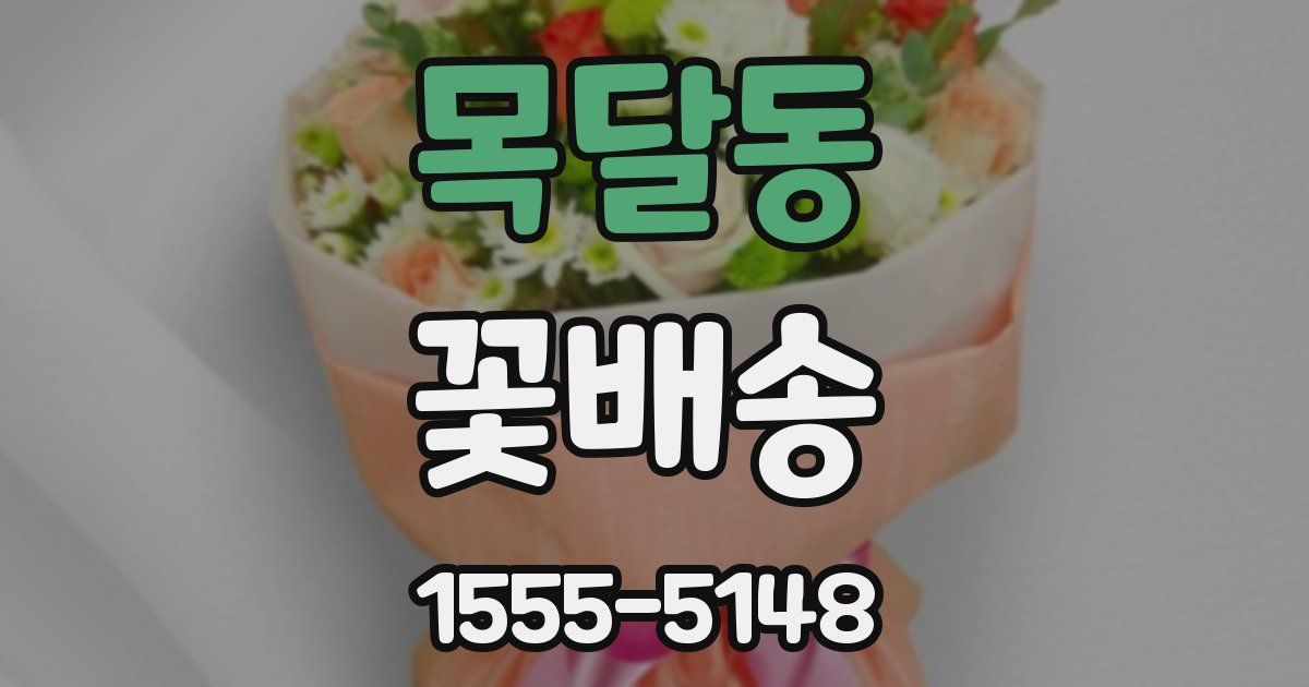 목달동 꽃배송