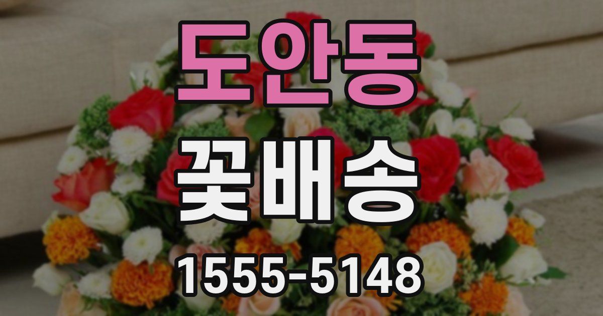 도안동 꽃배송