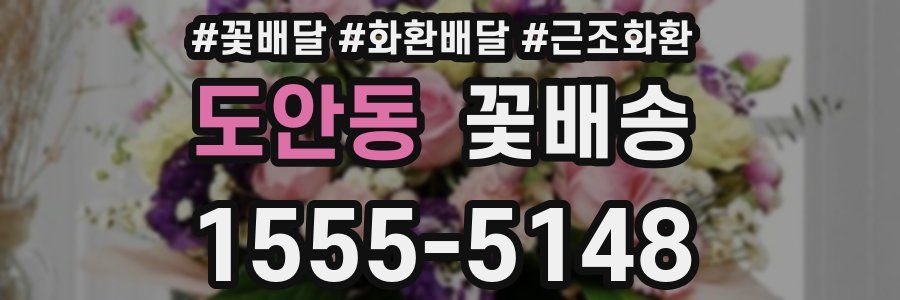 도안동 꽃배송