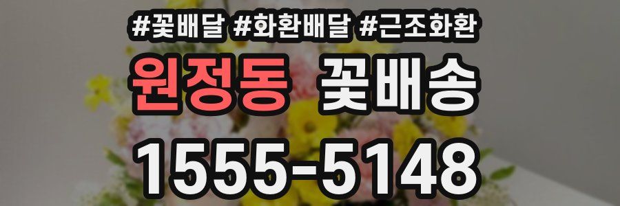 원정동 꽃배송