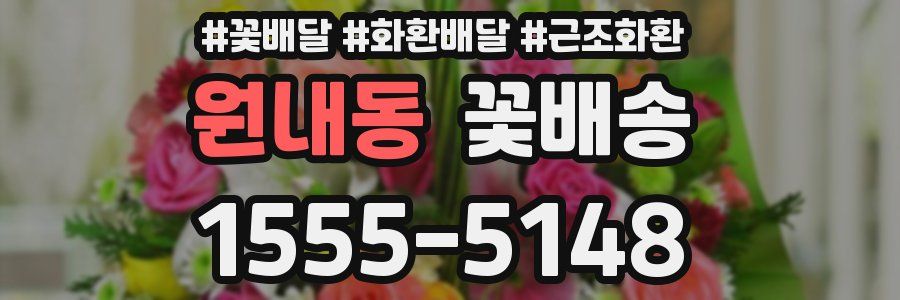 원내동 꽃배송