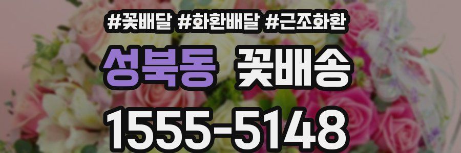 성북동 꽃배송