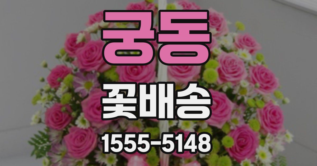 궁동 꽃배송