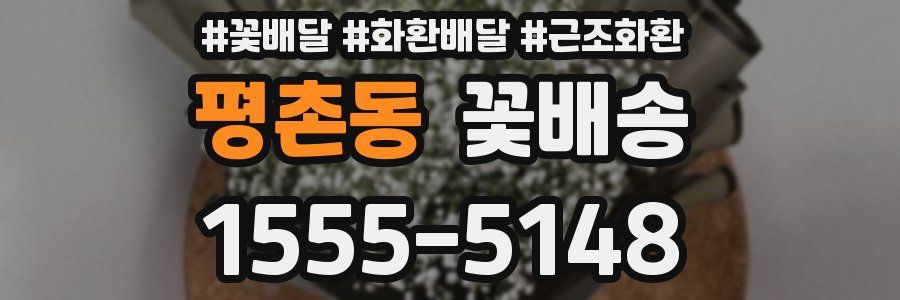 평촌동 꽃배송