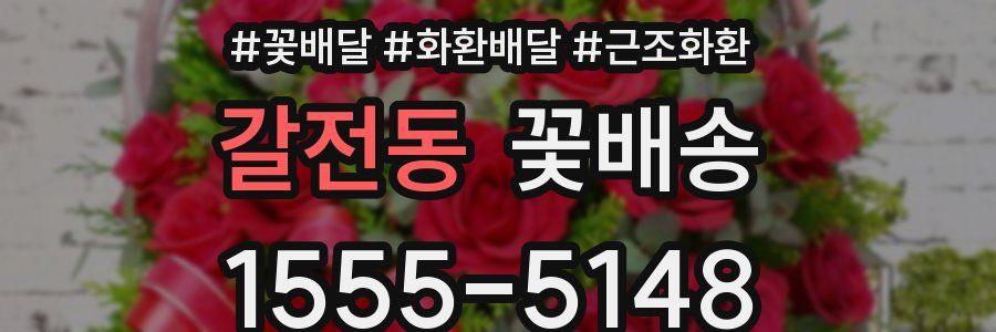 갈전동 꽃배송