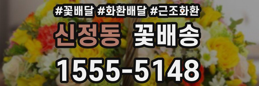 신정동 꽃배송