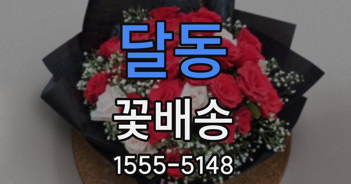 달동 꽃배송