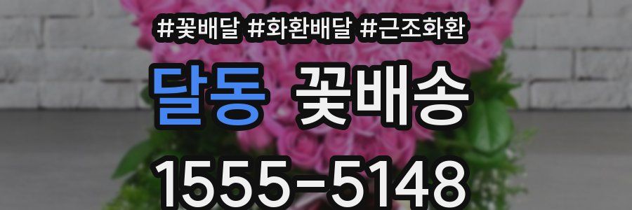 달동 꽃배송