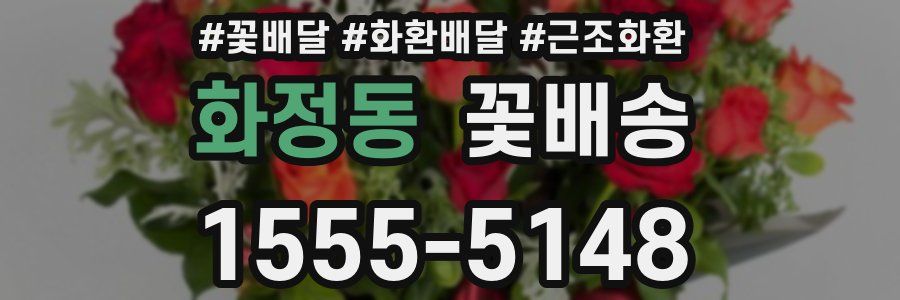 화정동 꽃배송