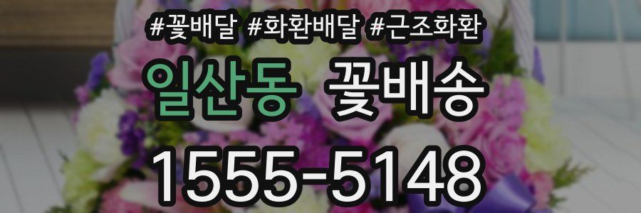 일산동 꽃배송