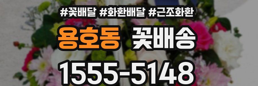 용호동 꽃배송