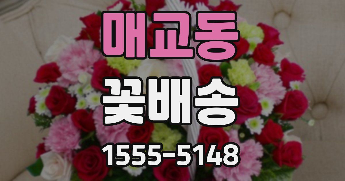 매교동 꽃배송
