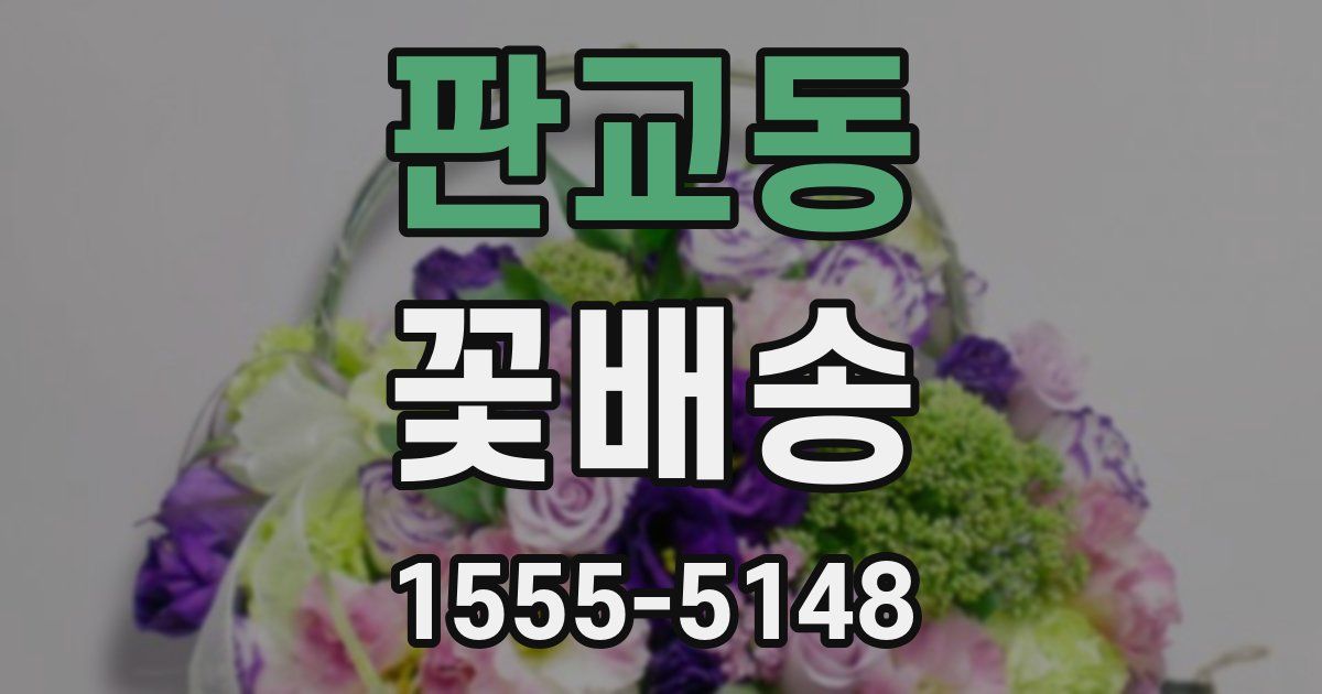 판교동 꽃배송