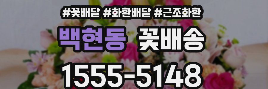 백현동 꽃배송