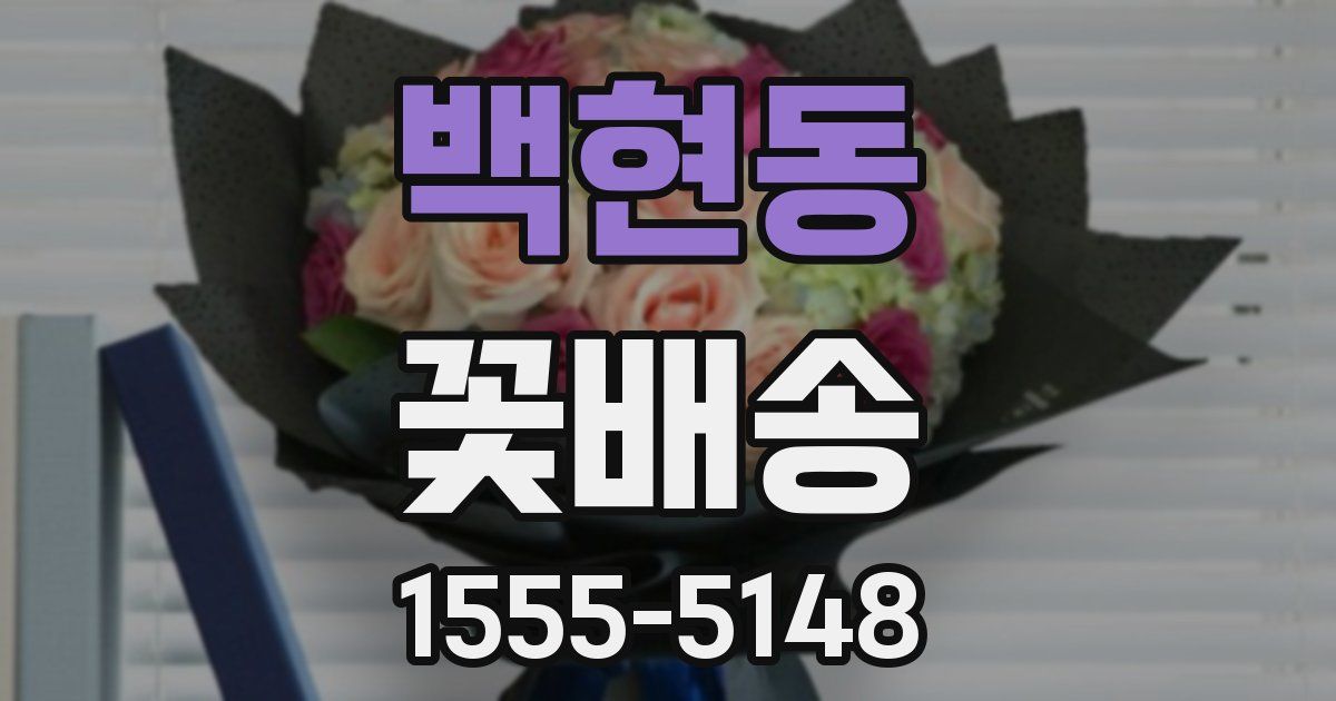 백현동 꽃배송