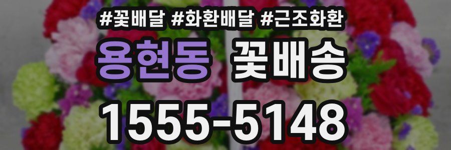 용현동 꽃배송