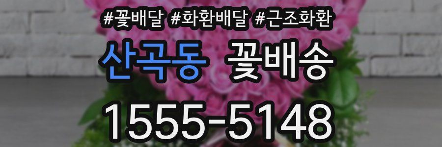 산곡동 꽃배송