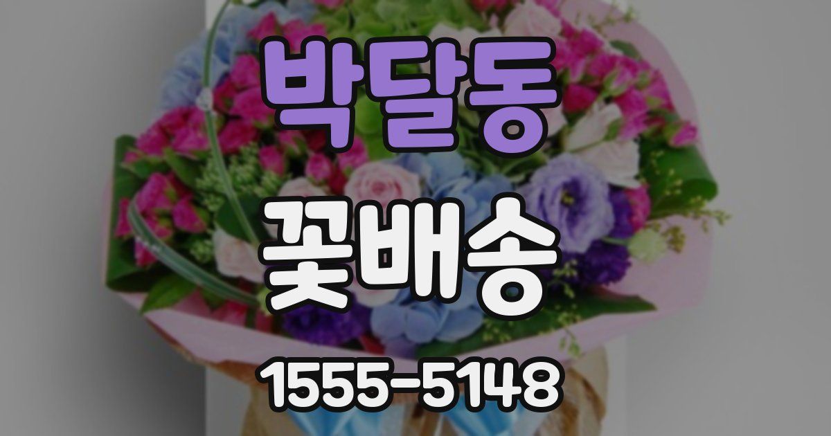 박달동 꽃배송